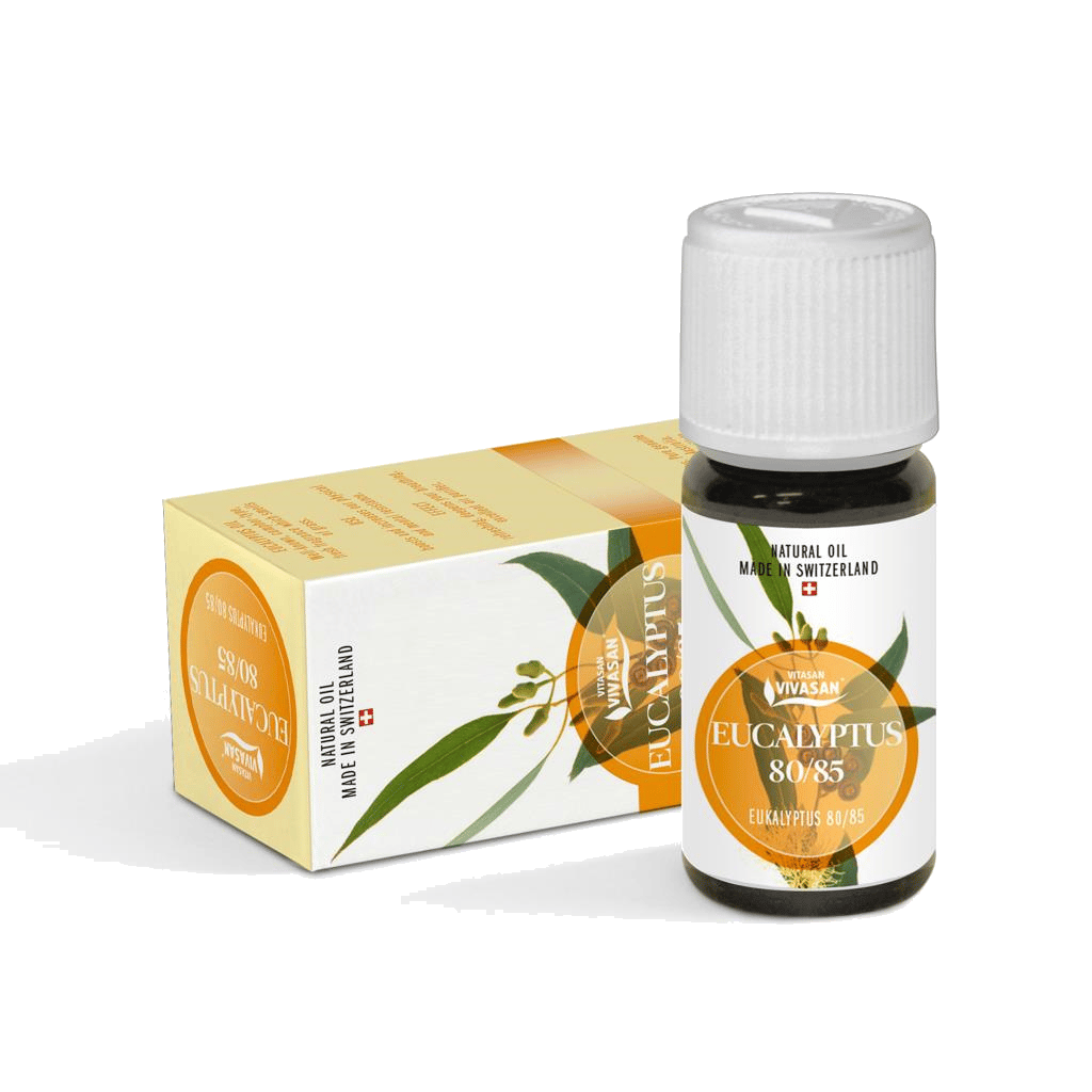 e 111_eucalyptus-2