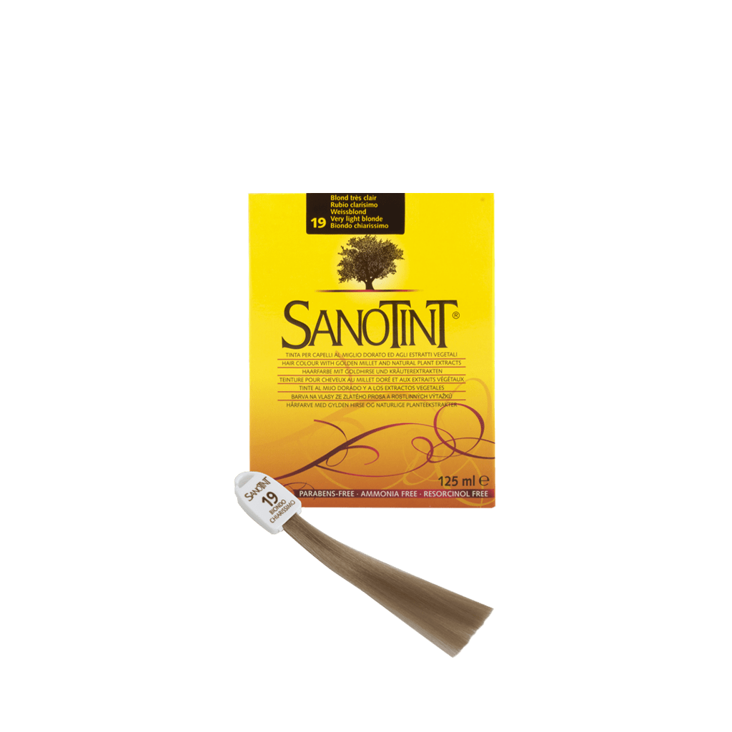 c 19_sanontin_color_19
