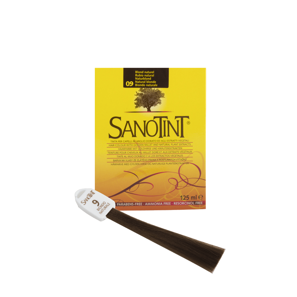 c 9_sanontin_color_09